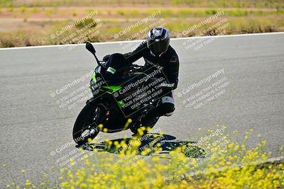 media/May-10-2024-2WTD (Fri) [[c88d7990af]]/Group C/Session 2-The Bowl/